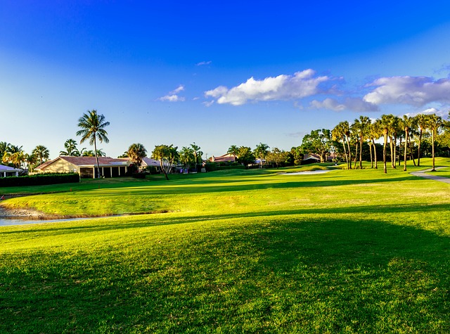 Great Golf Courses to visit in your Dallas car hire
